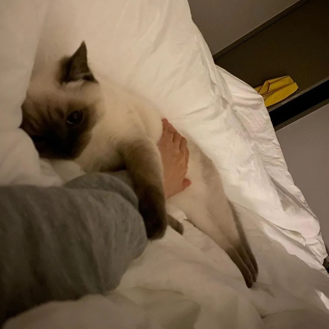 煤老板爆红完整版,煤老板ins