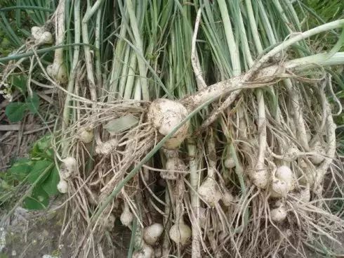 珏山景区旅游攻略,晋城珏山旅游景点大全