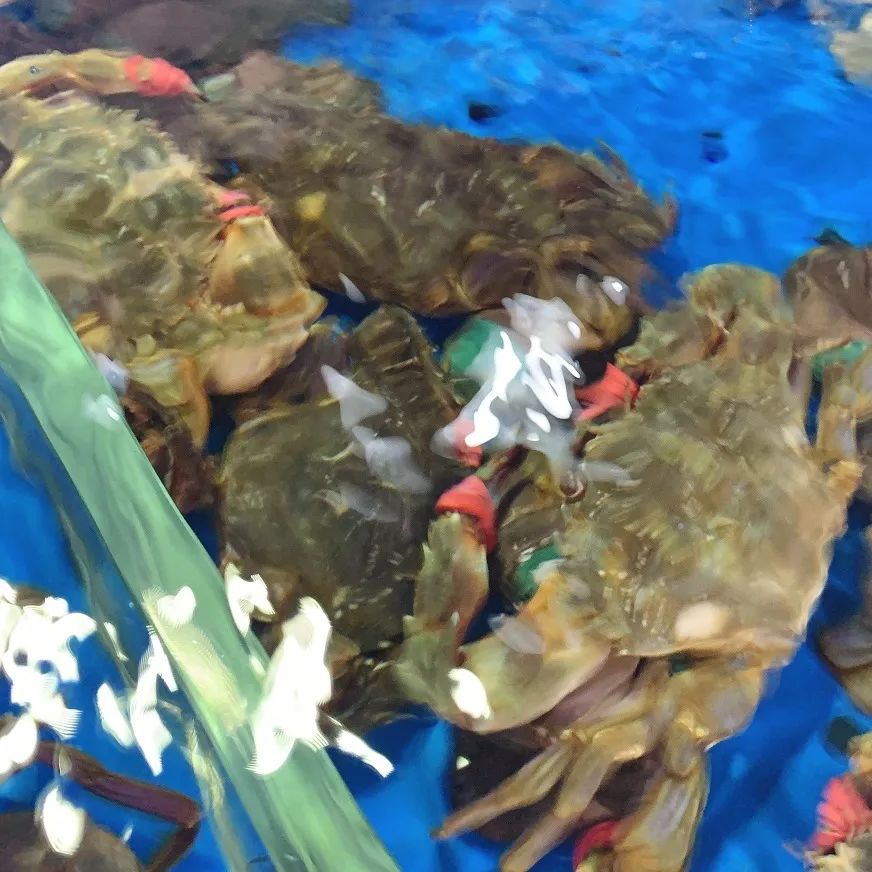 鞍山海鲜烧烤,鞍山最大大排档