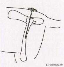 新生幼犬中的病犬该如何护理？又该如何避免？一篇文章告诉你