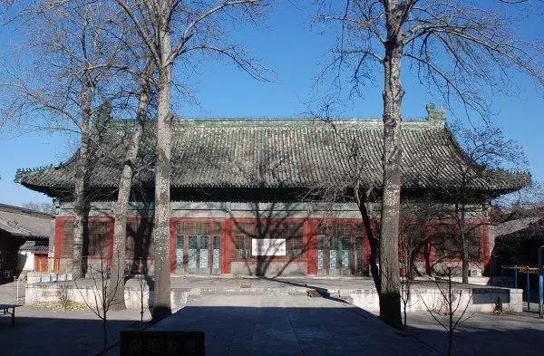 青苗夏令营活动,青苗夏令营