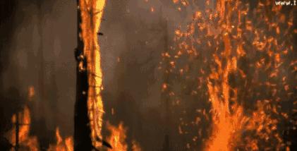 从流清鼻涕变成黄鼻涕是要好了吗,感冒第一天流清鼻涕第二天黄鼻涕