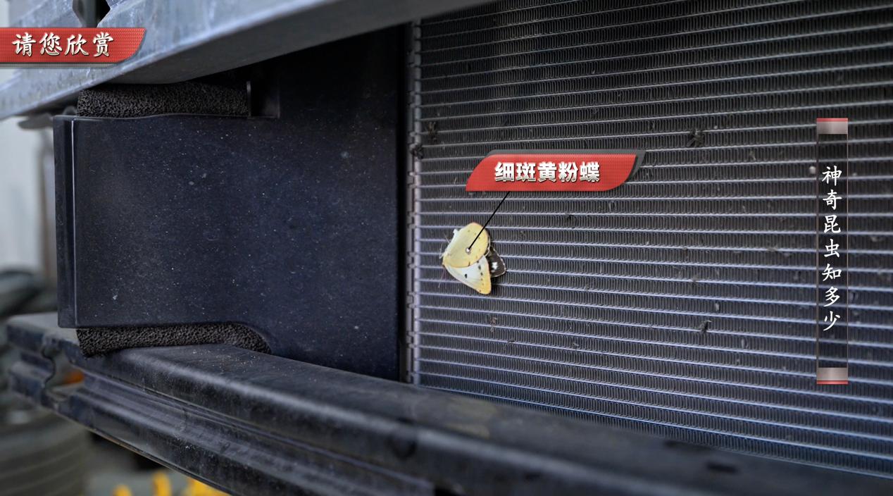 丰田双擎混动开不坏,2022丰田雷凌双擎1.8he-cvt进取版