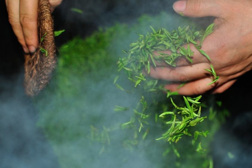 如何辨别上等的蒙顶甘露,上等蒙顶甘露图片