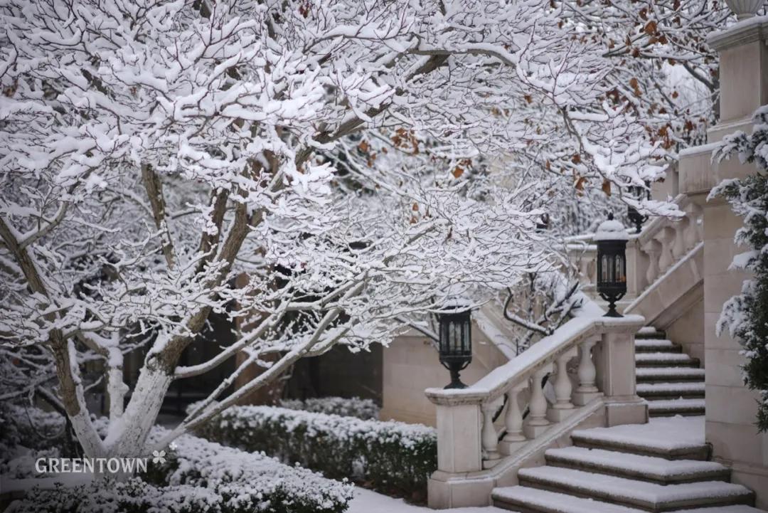 绿城印象南宁市江南区,绿城印象楼中楼