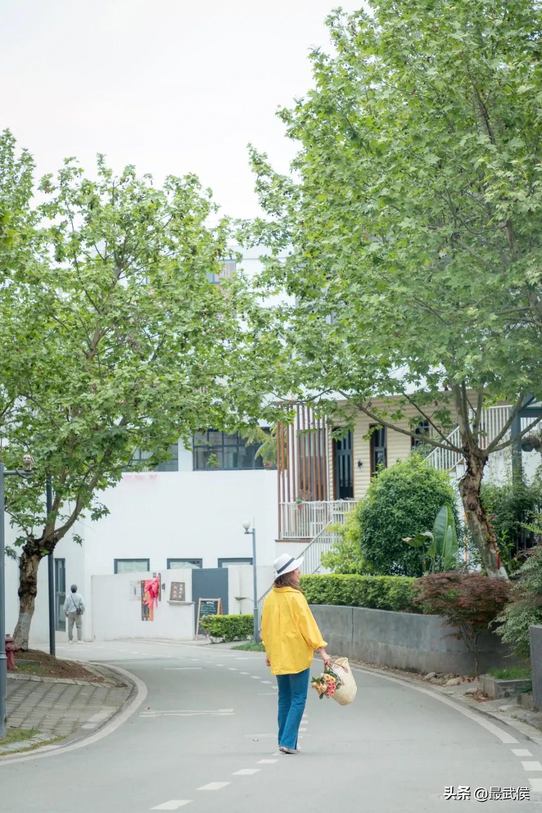 超便宜！成都铁轨下的花市5元买回一个春天！