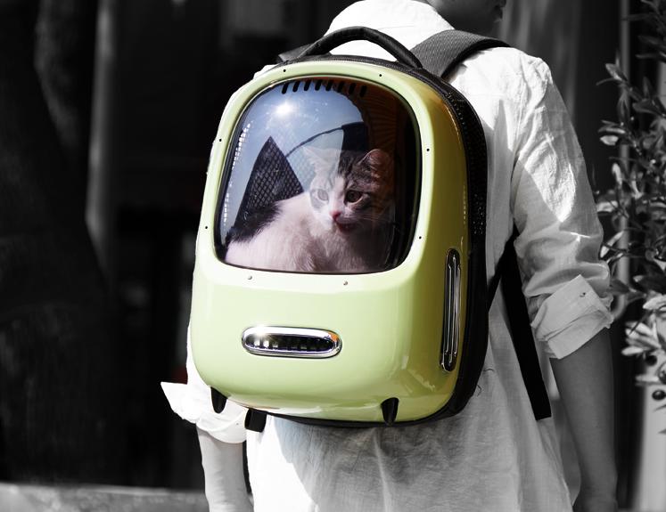 猫包有必要买侧开门的嘛,猫包是必备吗