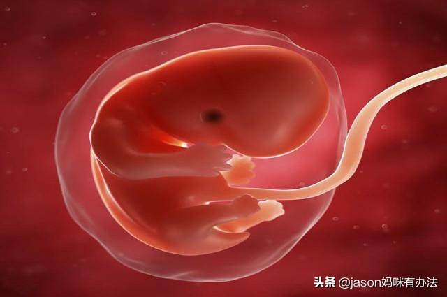 孕六周b超有胎心胎芽了吗,怀孕六周b超显示可见心管搏动