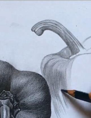 素描水果或蔬菜,素描蔬菜和水果怎么画出质感