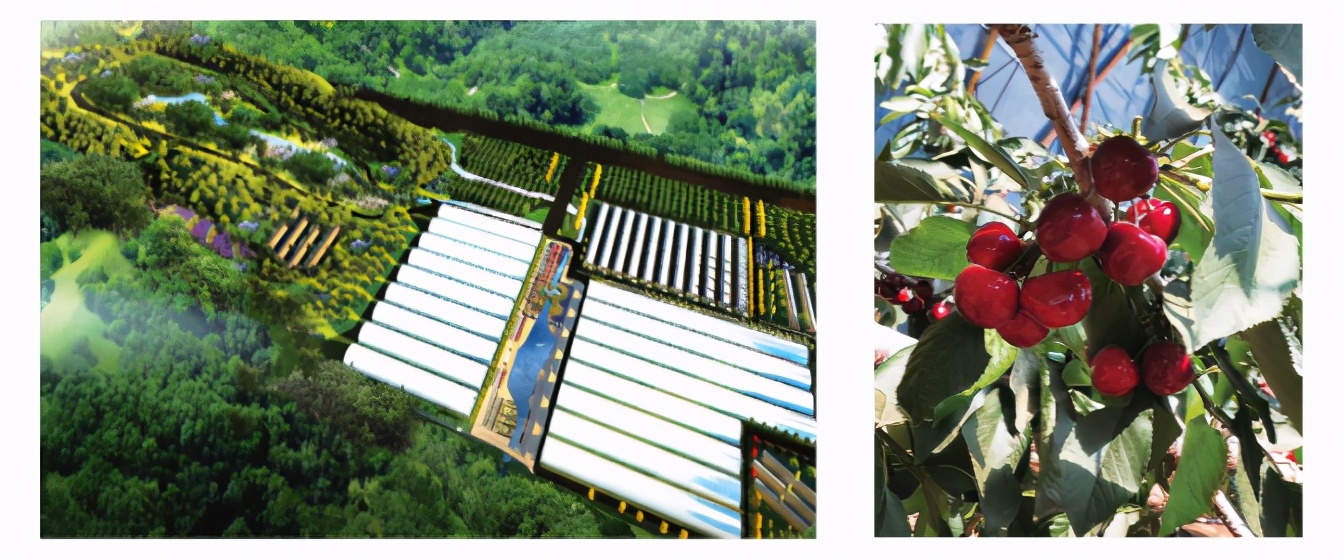 秦皇岛海边春天,秦皇岛春天新闻报道