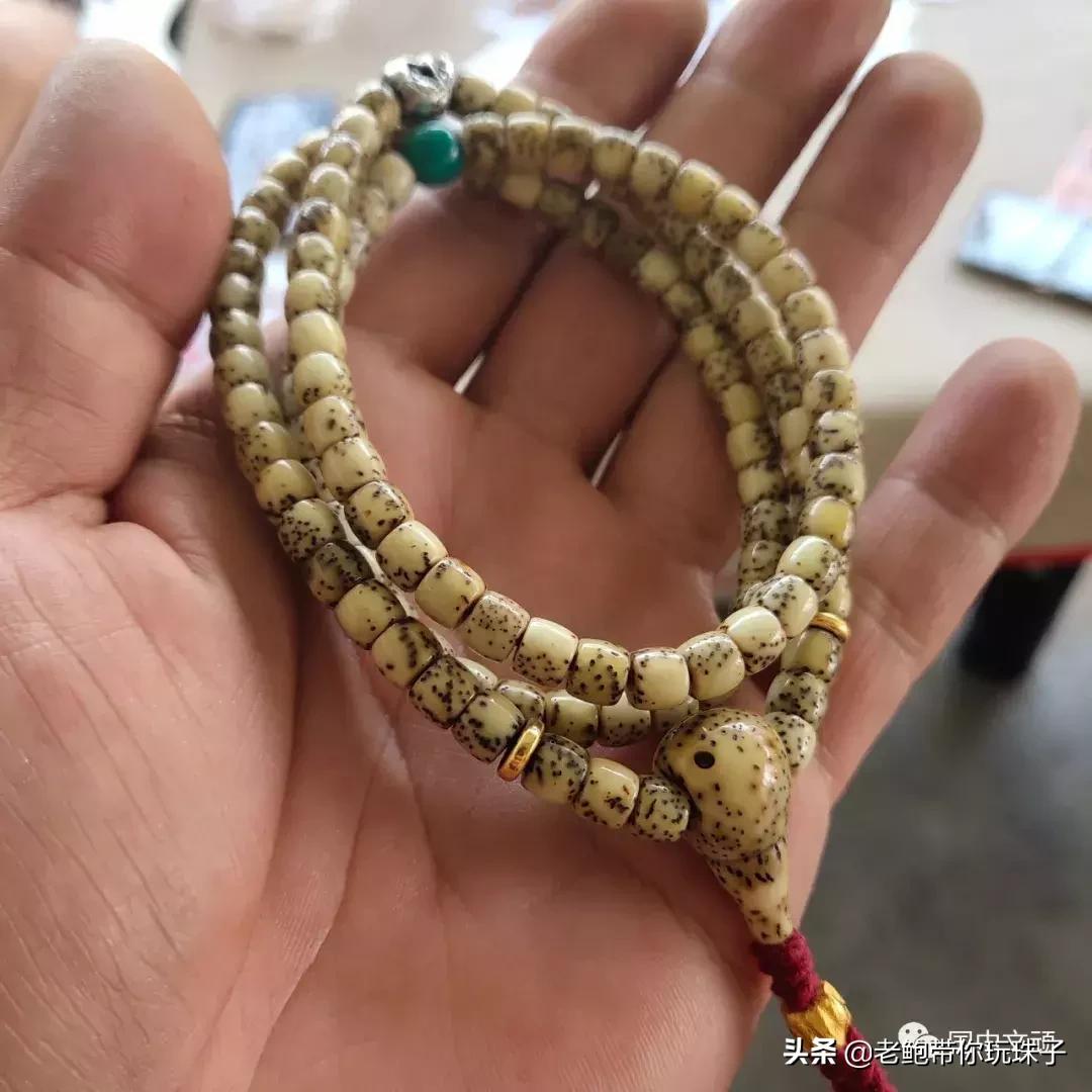 星月菩提咬手怎么办,菩提星月咬手