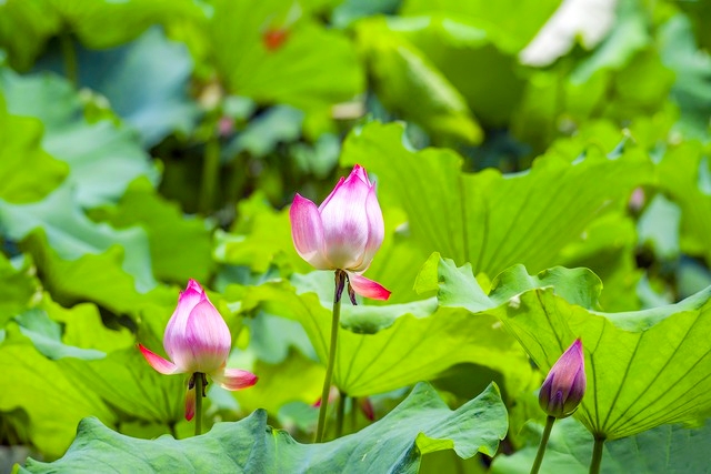 打卡新白娘子传奇杭州取景地,三月杭州打卡景点