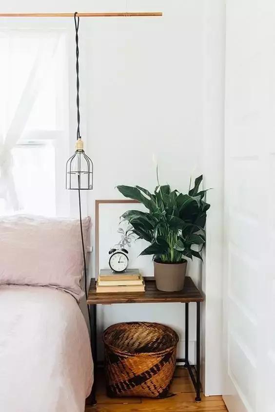 过期的药片丢花盆里花长疯了,家里过期的小药片还可以养植物