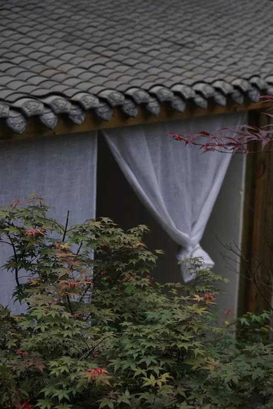 凉快避暑的民宿,成都都江堰与青城山附近的民宿