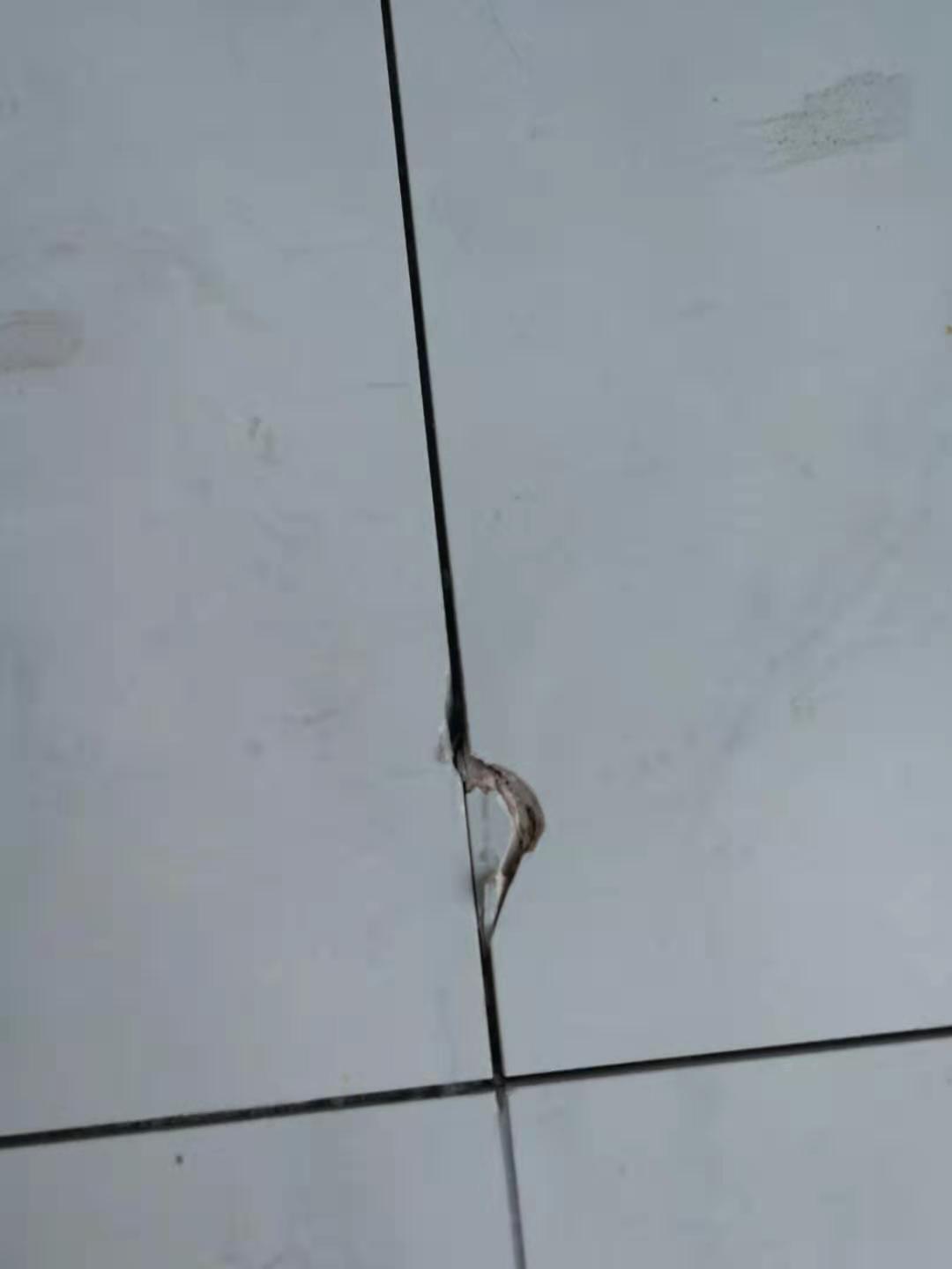 瓷砖小缝隙用勾缝剂还是美缝剂,美缝剂怎么弄不伤瓷砖缝隙