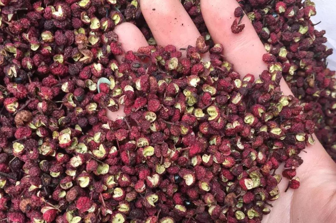 花椒、麻椒、藤椒有啥区别，在烹饪中如何与食材搭配才能最美味？