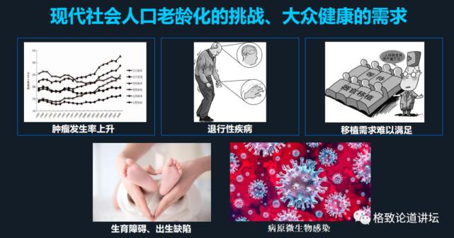 未来医疗器官可再生,再生医学给我们带来的健康