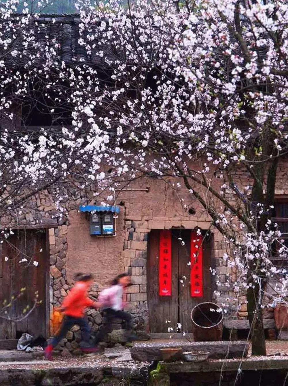 缙云十大旅游村落排名榜,缙云必游古村落