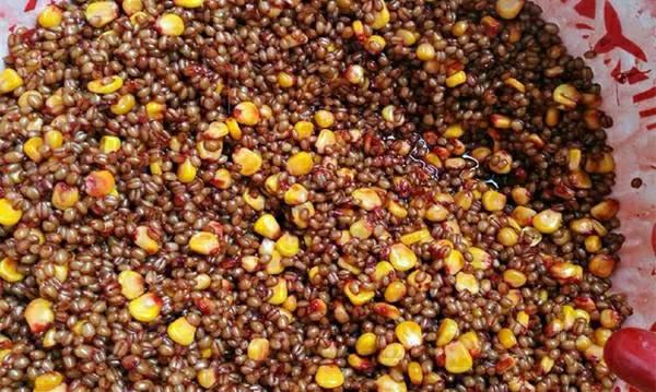 水库钓大鱼技巧和方法,野钓大实话