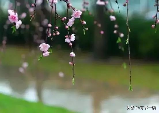 南怀瑾谈做人要认真,南怀瑾为人处世经典语录