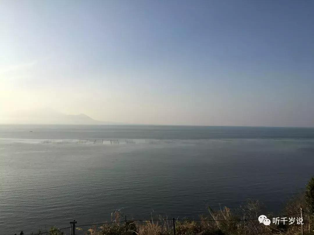 日本东京熊本熊,日本熊本游