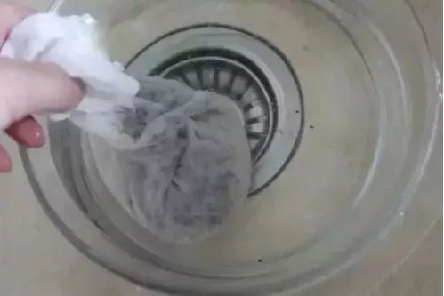 玉米棒子插水里，7天冒出小森林