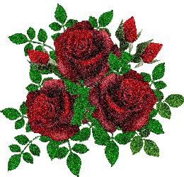 520情人节祝福送上真的太美了,最新的520情人节