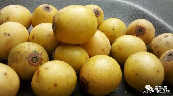 滴血莲花菩提子盘玩10年效果图,最简单菩提盘玩方法