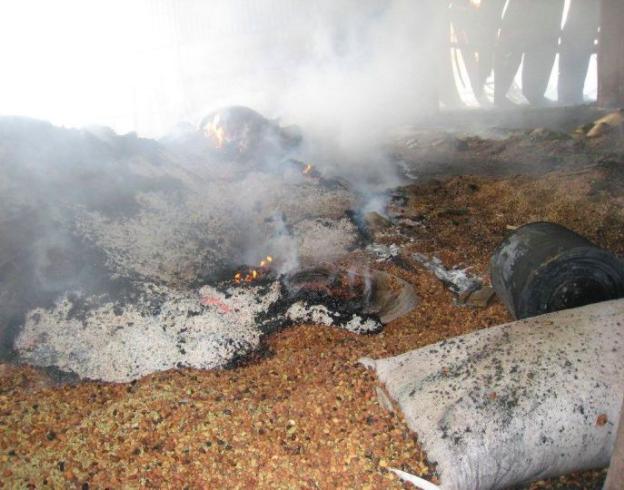 他囤积大量尿液，想要提取黄金，却意外发现这种元素，改变了世界