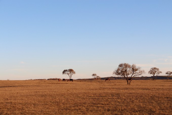 坝上乌兰布统的秋天完整版,乌兰布统坝上草原