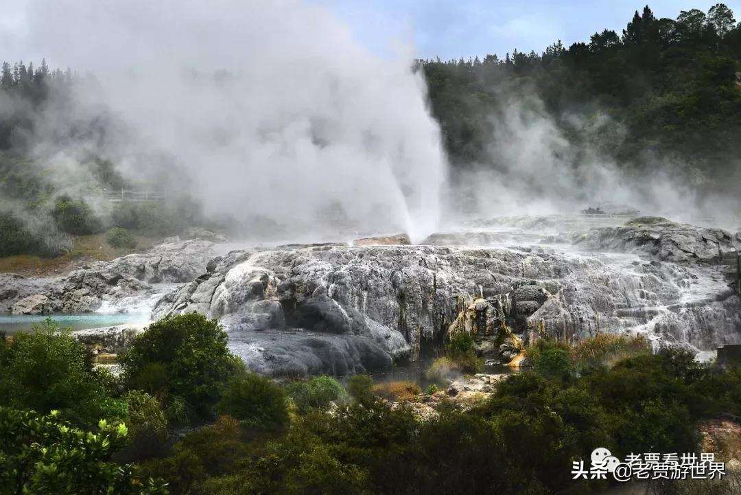新西兰的五个漂亮的地方,新西兰最好的五大城市排名