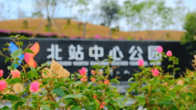 深圳龙华公园对外开放了吗,深圳市龙华新开的公园