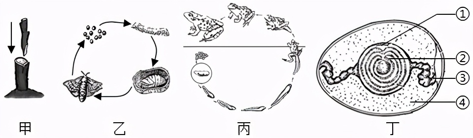 临沂2022生物会考答案,罗庄区生物一模试卷