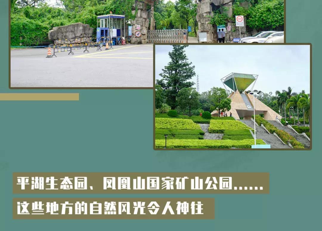 平湖低调小区,平湖品位