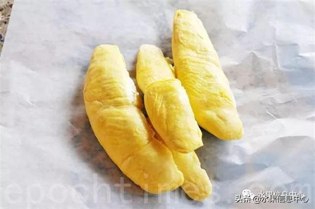 泰国最好的榴莲是什么榴莲,泰国榴莲与越南榴莲