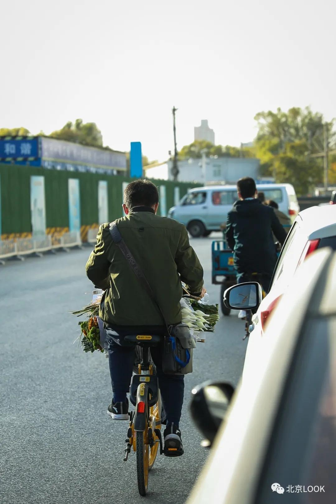 北京最大的露天花卉,北京最大的花卉大观园