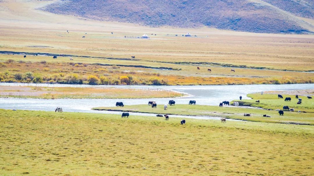 中国10条最美逆天的公路,一年仅开放四个月的独库公路