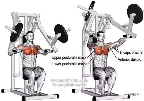 穿衣服撑不起来是骨架小吗,胸肌锻炼多久能穿衣有型