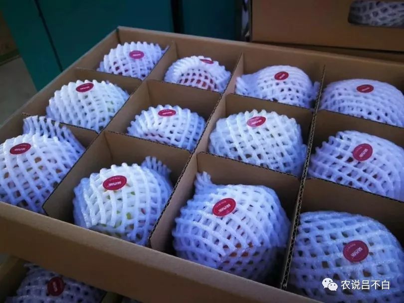 怎么做苹果又简单又好看,苹果果农应该怎么做