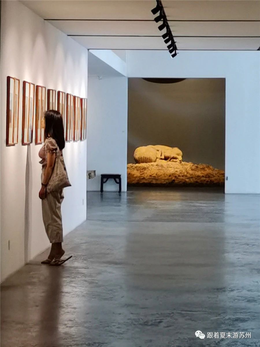 苏州本色美术馆预约,苏州本色美术馆近期展览