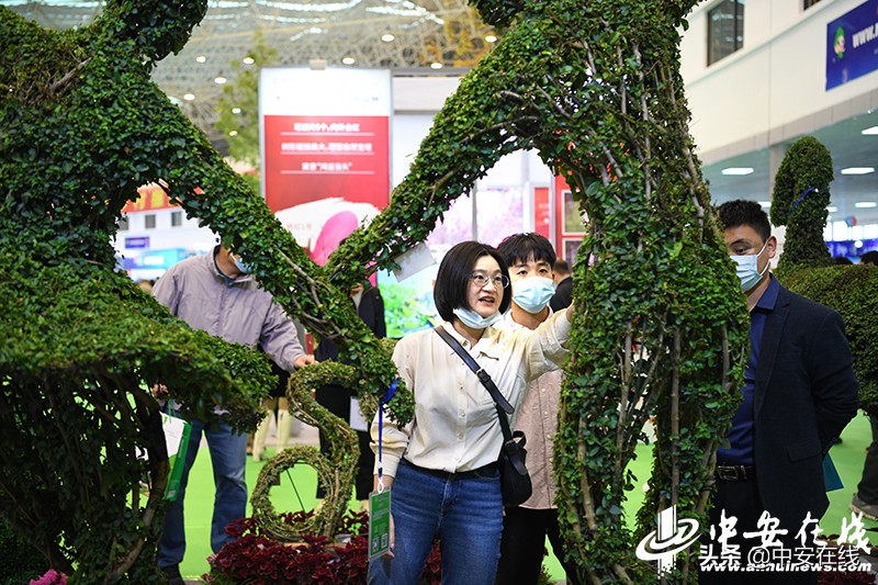 2020年中国合肥苗木交易会,2012中国合肥苗交会