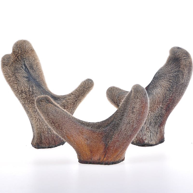 鹿茸的鉴别方法,泡过酒的鹿茸鉴别