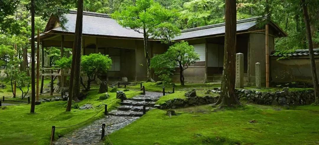 蒋勋细说红楼梦宝玉给大观园起名,蒋勋细说红楼梦在哪里听书