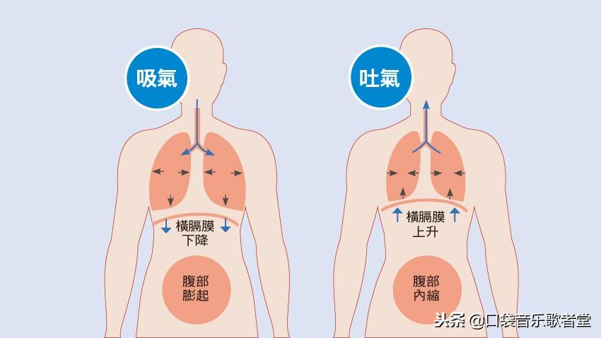 唱歌肺活量高如何学唱歌,学唱歌怎么练气息和肺活量