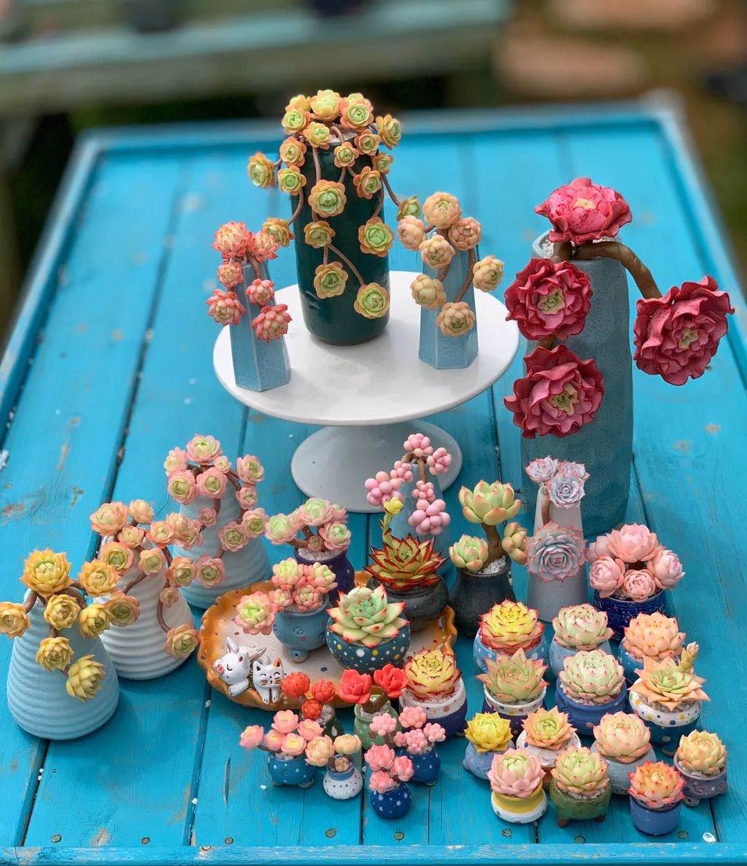 这个年销量上亿株多肉的县城，举办了首届多肉电商节