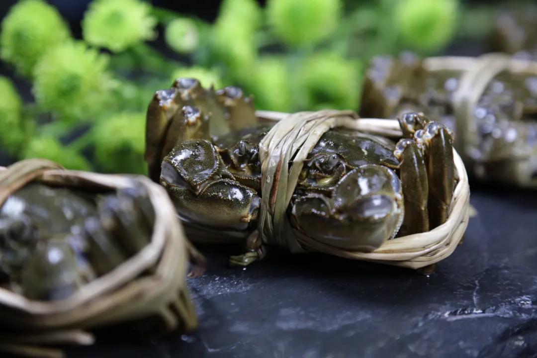 阳澄湖大闸蟹开湖活动,阳澄湖大闸蟹已进入最佳赏味期
