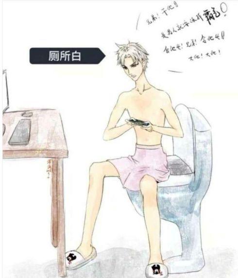 王者荣耀骚白不打职业,王者荣耀骚白和九天狐什么关系