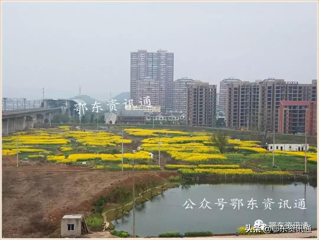 黄石市最好楼盘前十名,黄石最漂亮楼盘