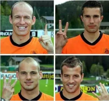 荷兰橙色的记忆,荷兰足球徽章