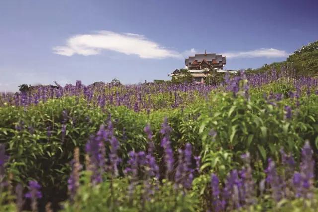 西双版纳13大旅游度假酒店，高品质，家庭出游最佳选择#版纳旅游